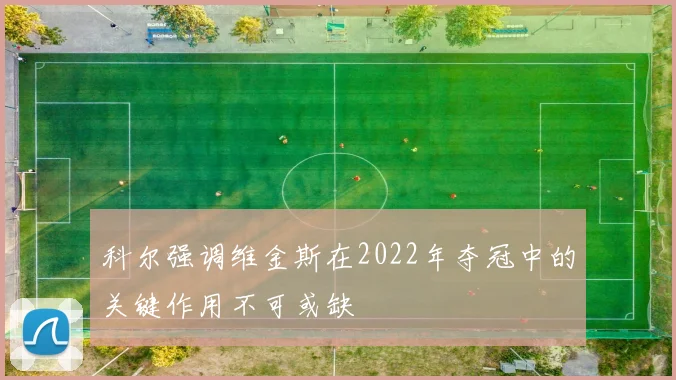 科尔强调维金斯在2022年夺冠中的关键作用不可或缺